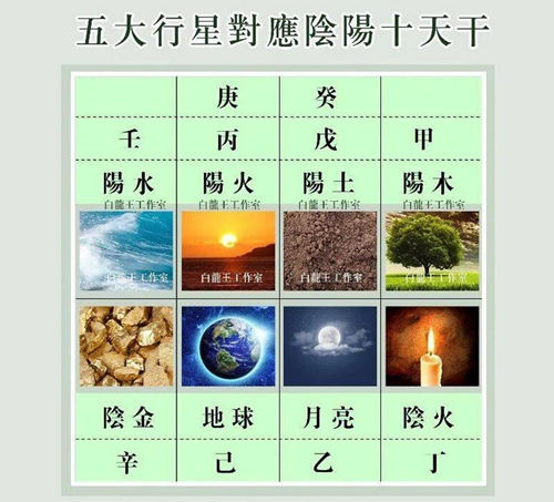 十天干喜忌