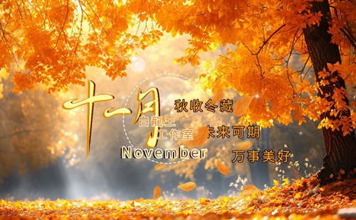 11月运势