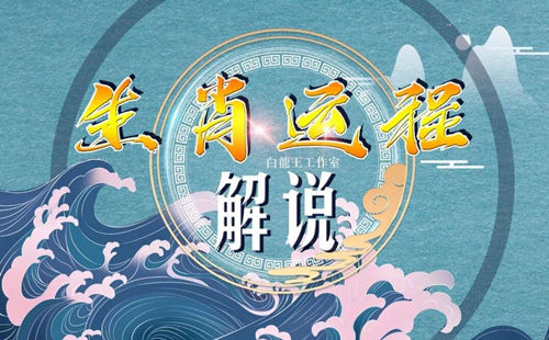 2025乙巳蛇年12生肖全年运势提点